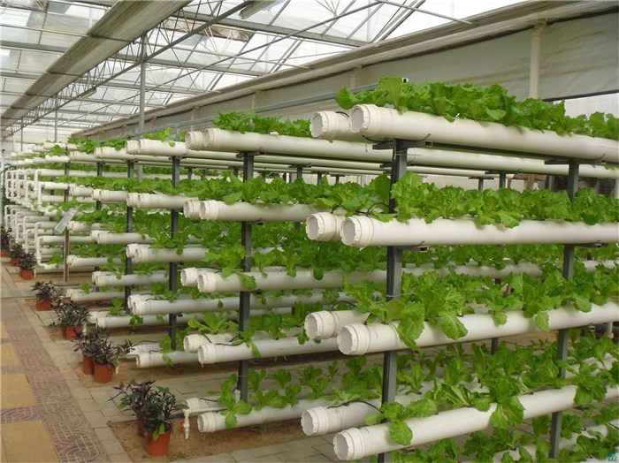 衡水市温室大棚种植槽 - 方案