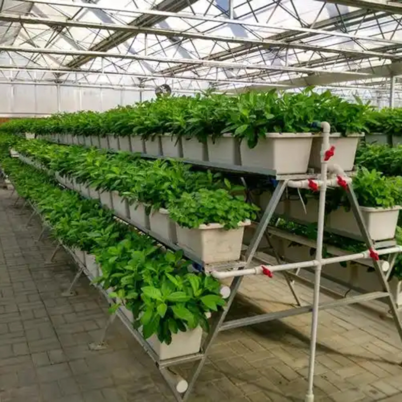 衡水市植物工厂智慧农业 - 厂家